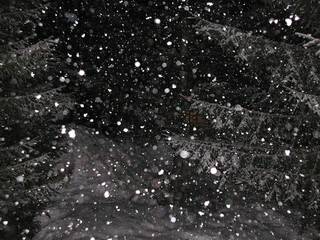 Akcija_Decembar2011_1
