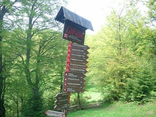 Lopata2012_001